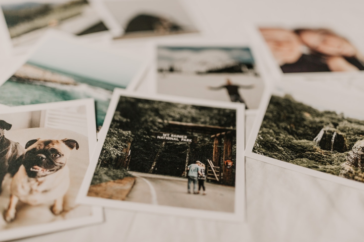 How Animated Memories Preserve Your Family History